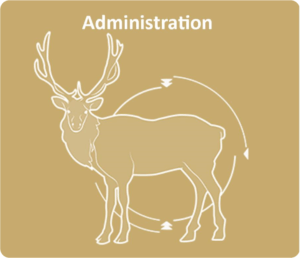 Outline of a elk with large antlers on a tan background, surrounded by curved arrows forming a circle. Above it, Administration is written in white, subtly hinting at the ko kwel wellness philosophy intertwined with nature and balance.