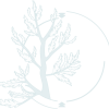 A stylized tree with delicate branches and leaves, overlaid with circular arrows to suggest motion, reflects the journey of an Opioid Treatment Program. The light blue color scheme on a white background conveys simplicity and flow, mirroring the OTPs cyclical path toward recovery.